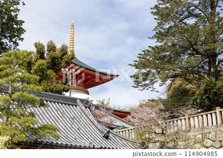 Hyogo Prefecture / Nakayama-dera Temple Daiganto (photographed on April 13, 2024) Hyogo Prefecture / Nakayama-dera Temple Daiganto (photographed on April 13, 2024) 114904985