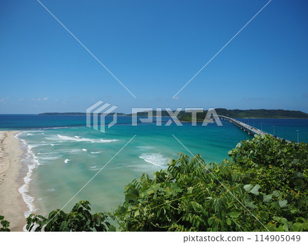 Beaches around Tsunoshima Bridge 114905049