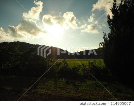 Nostalgic Sunset 114905067