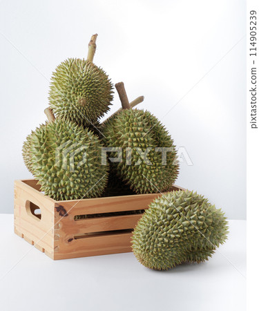Ripe durian, both pods and stalks In an agricultural wooden pickup on a white background. 114905239