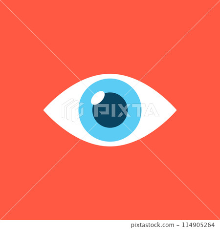 Human eye icon in flat style. Eyeball vector illustration on isolated background. Vision sign business concept. 114905264