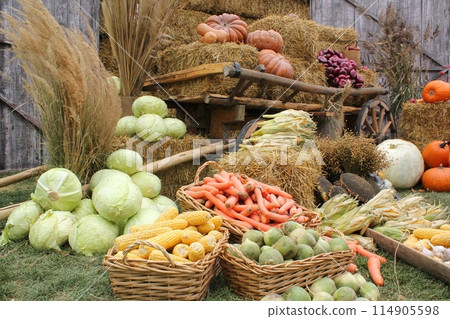 Fresh organic vegetables on farmer market. Local farm bazaar. Assortment of fresh organic harvest garden produce. Bio products, bio ecology. Healthy food festival. Agricultural rustic fair. Umuganura Fresh organic vegetables on farmer market. Local farm bazaar. Assortment of fresh organic harvest garden produce. Bio products, bio ecology. Healthy food festival. Agricultural rustic fair. Umuganura 114905598