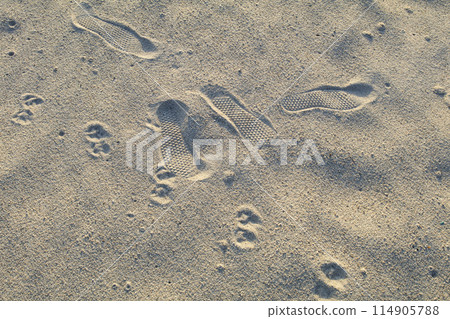Footprints remaining on the beach 114905788