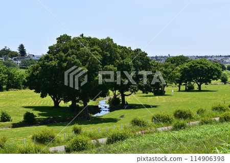 從樹蔭下看到的風景 114906398