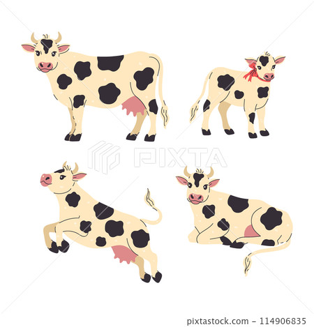 Set of white with black spots cows and calf. Vector graphics. Set of white with black spots cows and calf. Vector graphics. 114906835