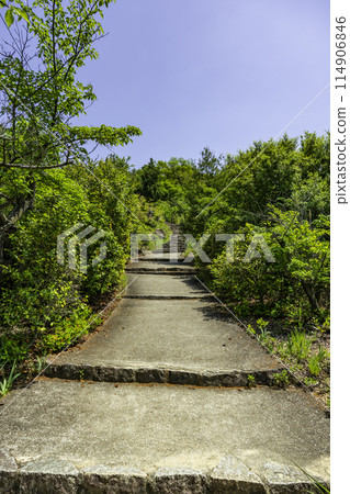 廣島縣尾道市因島白瀧山觀音堂 114906846