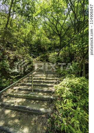Innoshima Shiratakiyama Kannondo Temple Approach Onomichi City, Hiroshima Prefecture 114906847