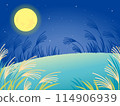 Moon viewing: Full moon and silver grass field at night (side) 114906939