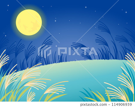 Moon viewing: Full moon and silver grass field at night (side) 114906939