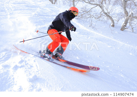 野外滑雪 114907474