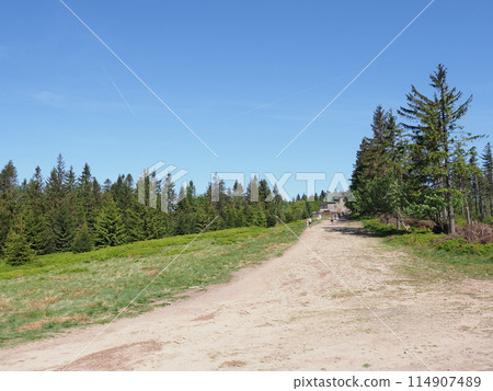 Path to shelter from Klimczok mount in Silesian Beskids near European Bielsko-Biala city in Poland Path to shelter from Klimczok mount in Silesian Beskids near European Bielsko-Biala city in Poland 114907489