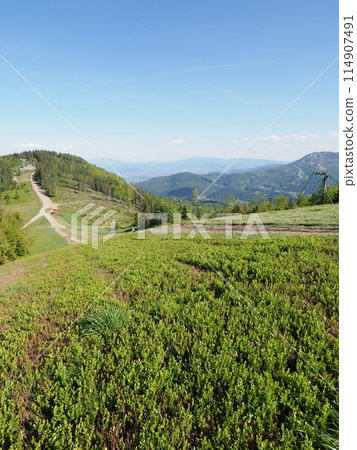 Klimczok mount 1117 m in Silesian Beskids near European Bielsko-Biala city in Poland - vertical Klimczok mount 1117 m in Silesian Beskids near European Bielsko-Biala city in Poland - vertical 114907491