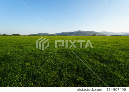 Grassland of airfield and Silesian Beskids in Bielsko-Biala city in Poland 114907496