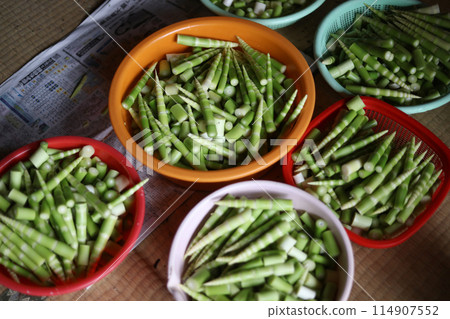 去皮根彎竹 去皮根彎竹 114907552