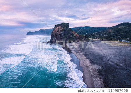 Beautiful iconic Lion Rock and breaking wave on Piha beach in the evening at Auckland, New Zealand 114907696