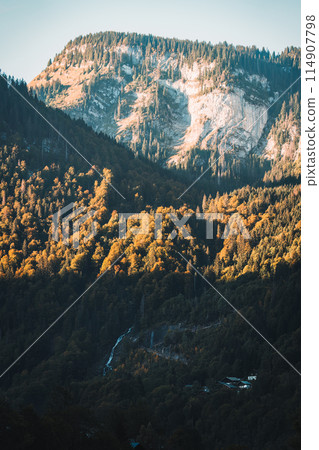 Sunlight shining on mountain peak with pine forest in autumn at French Alps Sunlight shining on mountain peak with pine forest in autumn at French Alps 114907798