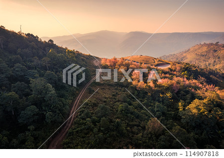 Colorful sunrise over mountain range in tropical rainforest at Phu Lom Lo Colorful sunrise over mountain range in tropical rainforest at Phu Lom Lo 114907818