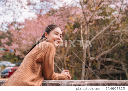 Asian woman enjoying with wild himalayan cherry blooming on springtime at Ban Rong Kla local village 114907825