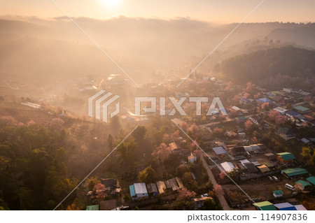 Sunrise over Thai tribe village in foggy with wild himalayan cherry tree blooming at Ban Rong Kla, Thailand Sunrise over Thai tribe village in foggy with wild himalayan cherry tree blooming at Ban Rong Kla, Thailand 114907836