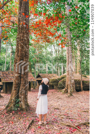 Asian woman visitting and enjoying with red maple foliage and wooden hut in School of Political and Military at Phu Hin Rong Kla national park Asian woman visitting and enjoying with red maple foliage and wooden hut in School of Political and Military at Phu Hin Rong Kla national park 114907839