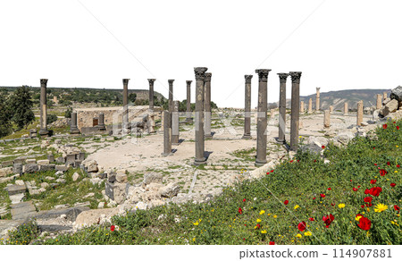 Roman ruins at Umm Qais (Umm Qays)--is a town in northern Jordan near the site of the ancient town of Gadara, Jordan. On white background 114907881