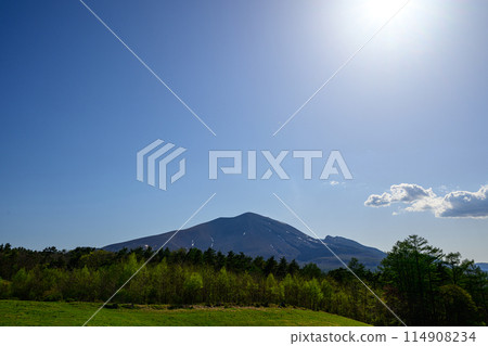 從淺間牧場看到的淺間山 從淺間牧場看到的淺間山 114908234