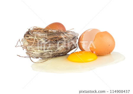 broken egg in nest and broken egg 114908437