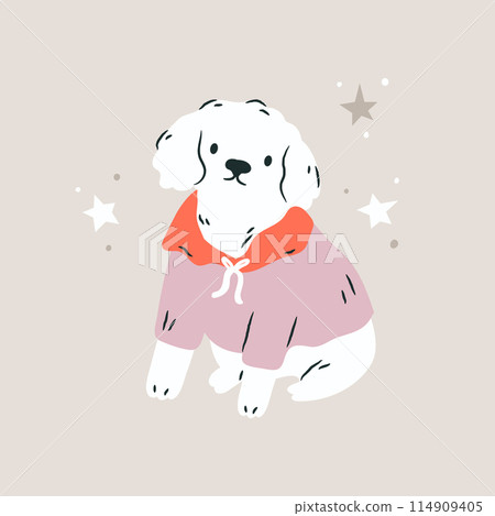 Vector hand drawn illustration of a happy white bichon frise with a red scarf, neckpiece and pink sweatshirt. 114909405