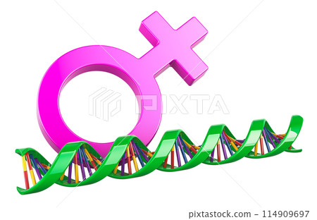 DNA spiral with female gender symbol. DNA Testing, concept. 3D rendering DNA spiral with female gender symbol. DNA Testing, concept. 3D rendering 114909697