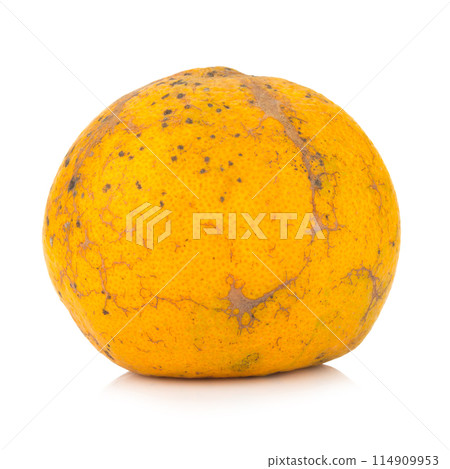 orange. rotten. dirty. isolated on white background 114909953