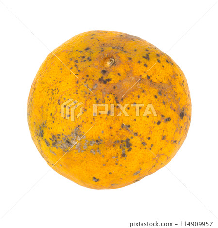 orange. rotten. dirty. isolated on white background 114909957