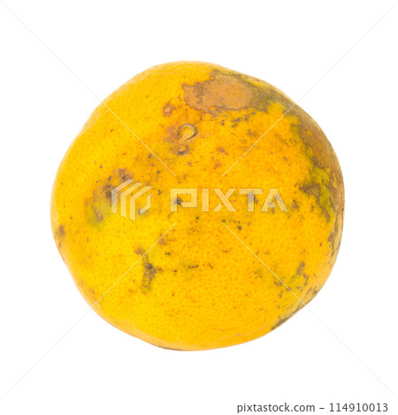 orange. rotten. dirty. isolated on white background orange. rotten. dirty. isolated on white background 114910013