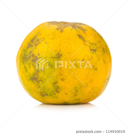 orange. rotten. dirty. isolated on white background orange. rotten. dirty. isolated on white background 114910019