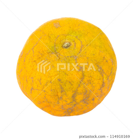 orange. rotten. dirty. isolated on white background 114910169