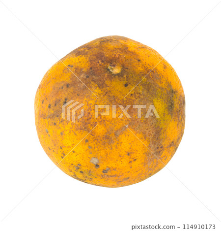 orange. rotten. dirty. isolated on white background 114910173