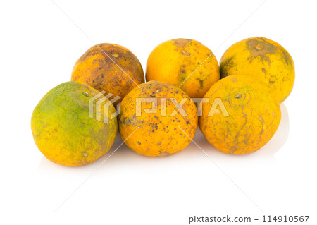 orange. rotten. dirty. six. isolated on white background 114910567