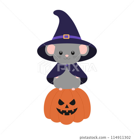 Cute little mouse in witch hat and mantle standing on scary pumpkin. Halloween design with animal. Vector flat illustration for banner, poster, greeting card Cute little mouse in witch hat and mantle standing on scary pumpkin. Halloween design with animal. Vector flat illustration for banner, poster, greeting card 114911302