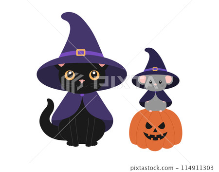 Cute black cat and little mouse in witch hats and mantles with scary pumpkin. Halloween design with animals. Vector flat illustration for banner, poster, greeting card 114911303
