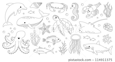 Sea and ocean animals coloring page. Cute dolphin, whale, crab, seahorse, starfish, lobster, turtle, stingray, octopus, shark, jellyfish and fish. Marine creatures outline set. Coloring book for print 114911375