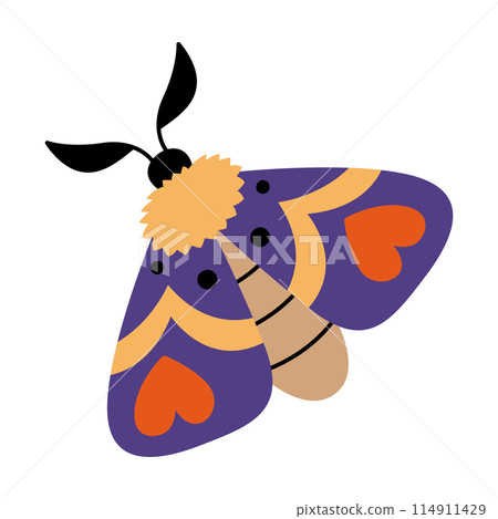 Boho celestial moth isolated on white background. Mystical night butterfly. Magic insect vector flat illustration Boho celestial moth isolated on white background. Mystical night butterfly. Magic insect vector flat illustration 114911429