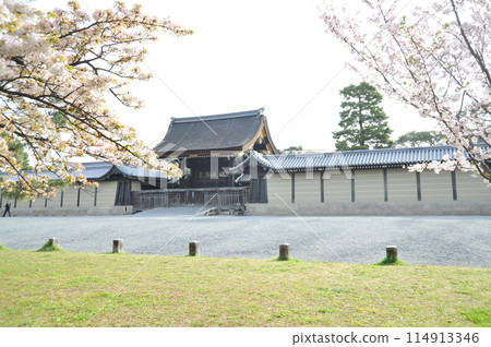 京都御所大門 2024 京都御所大門 2024 114913346