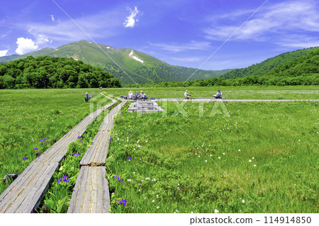 Fresh green Ozegahara 114914850