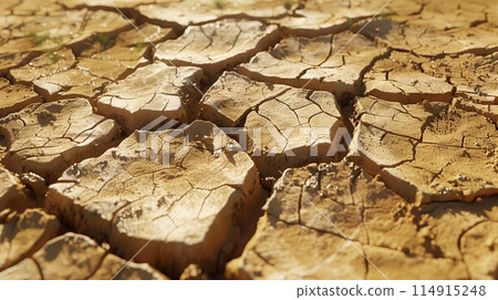 Cracked desert terrain: A barren landscape with dry earth signaling extreme dryness. Cracked desert terrain: A barren landscape with dry earth signaling extreme dryness. 114915248