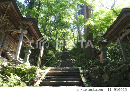 Hagurosan接近道路 114916013