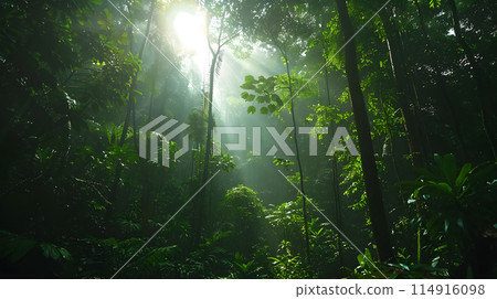 The sunlight filters through the dense foliage of the jungle, illuminating the towering trees and lush vegetation in a mesmerizing natural landscape 114916098
