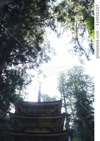 綠樹環繞的五層寶塔 114916107