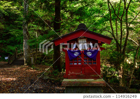 A small shrine in the forest A small shrine in the forest 114916249