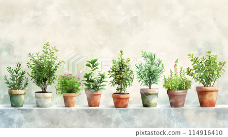 A row of houseplants are neatly lined up on a shelf, showcasing a variety of terrestrial plants in flowerpots. The display includes shrubs, grasses, and groundcover in rectangular pots 114916410