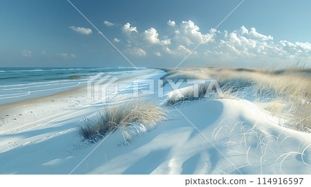 Beautiful sand dunes and blue sea scenery 114916597