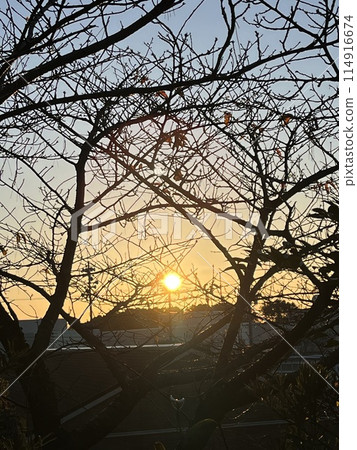 第一次日出 114916674